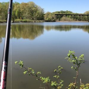 Meet your Posher, Derek